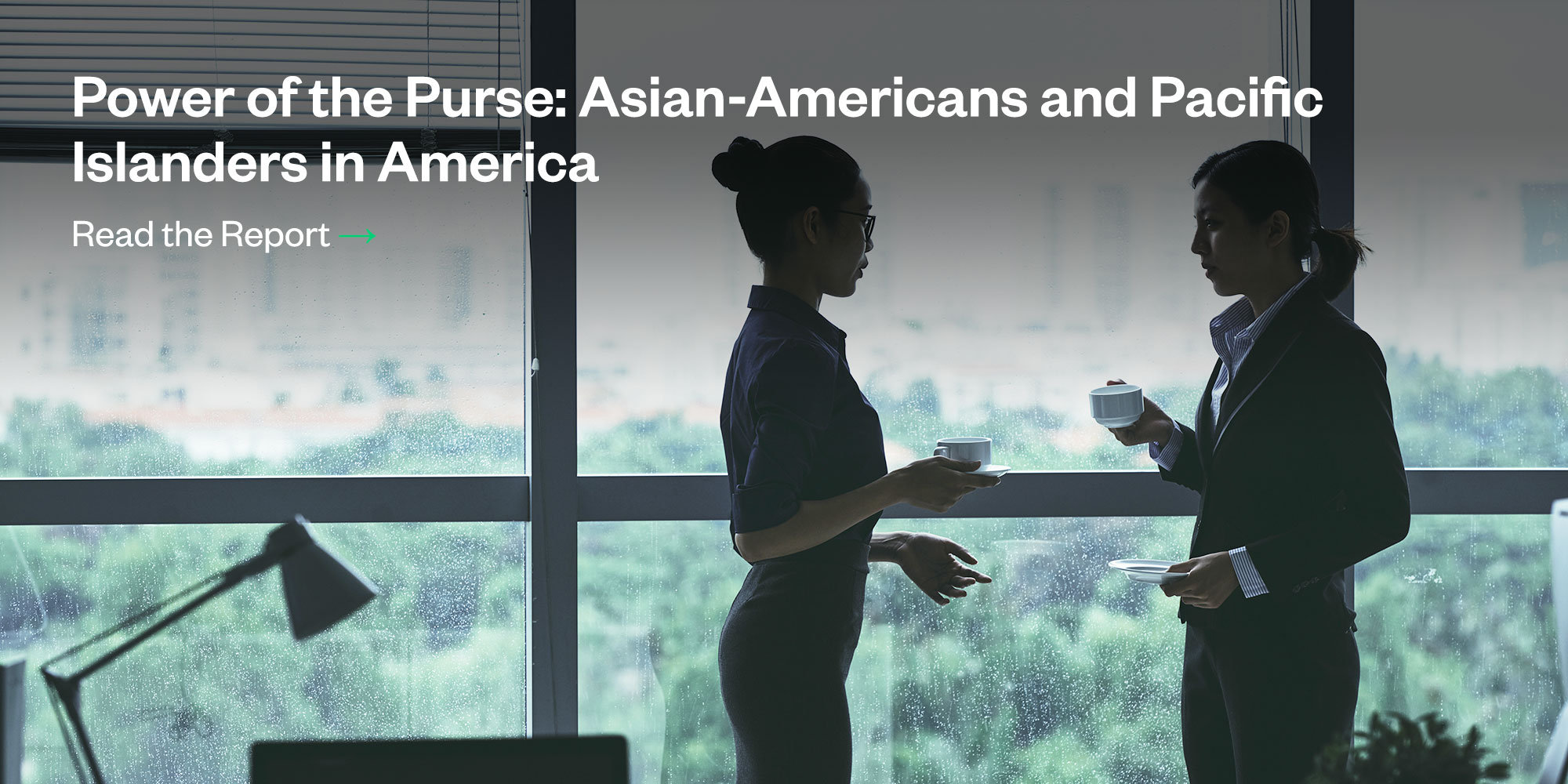 Power of the Purse: Asian-Americans and Pacific Islanders in America